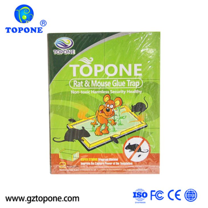 HOW TO USE GLUE TRAPS news Guangzhou Topone Chemical